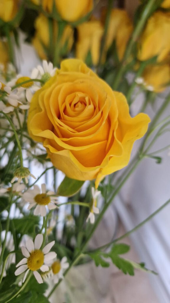 julie's flowers strokestown